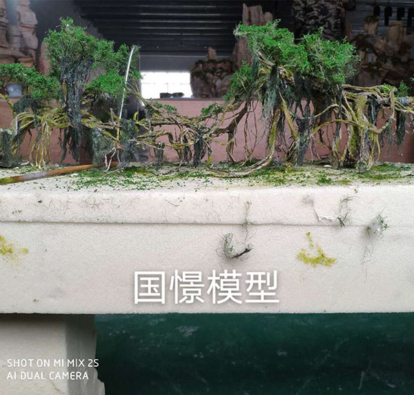 剑阁县场景模型